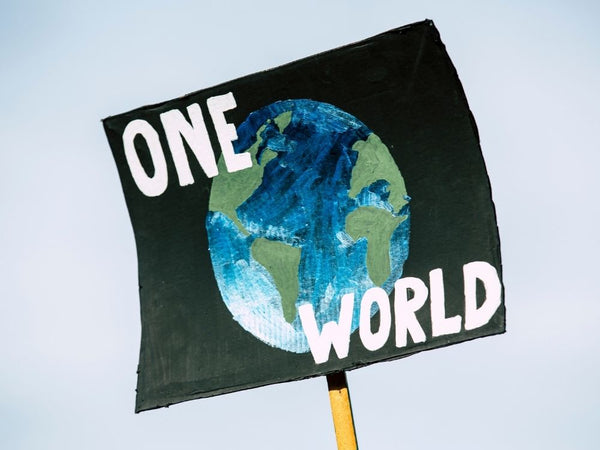 Dia Mundial do Meio Ambiente: Uma Só Terra