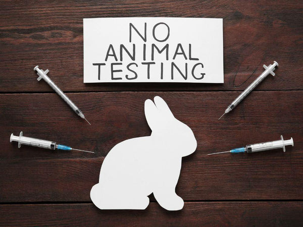 Cruelty-free: Senado aprova proibição de testes em animais