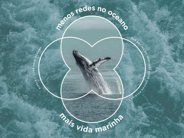 Dia Mundial dos Oceanos: saiba tudo sobre o projeto Rede contra Redes