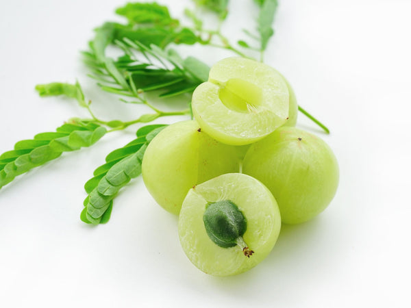 Extrato de Amla