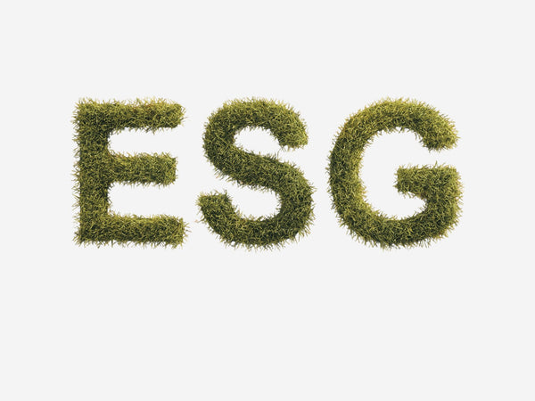 Muito mais do que uma sigla: o que significa ESG?