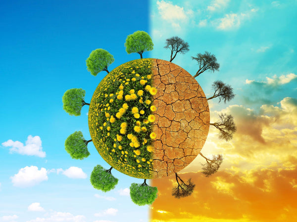 Setembro de consciência e ação sobre a Camada de Ozônio e Limpeza do Litoral