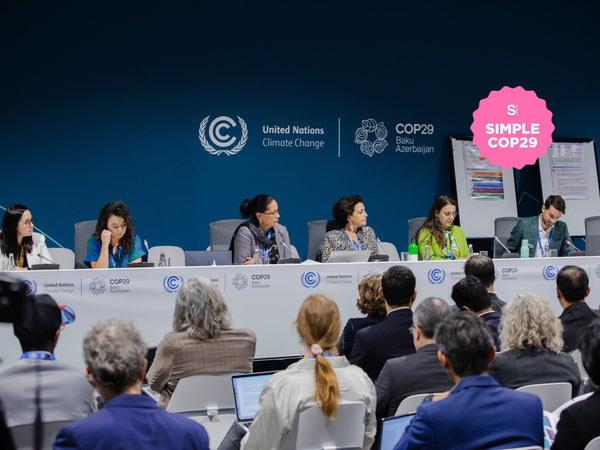 Simple na COP29: destaques do terceiro dia em Baku